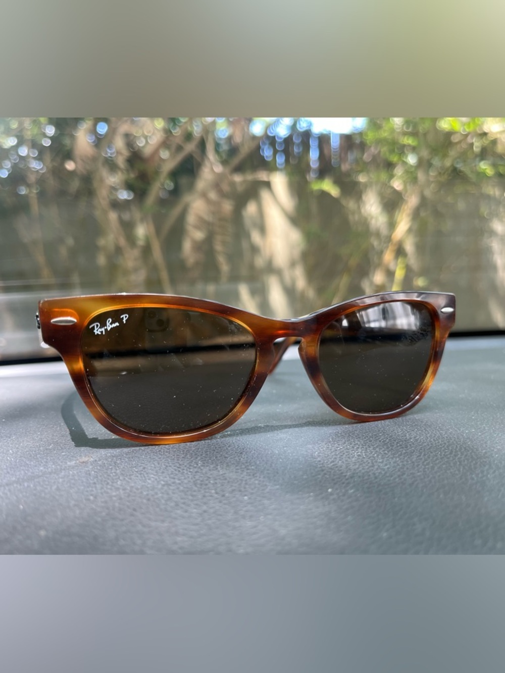 Ray Ban 2201 Laramie Polarized Sunglasses